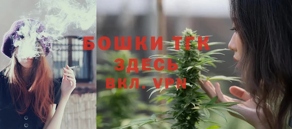 индика Строитель