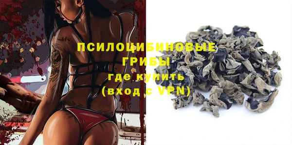 эйфоретик Богданович
