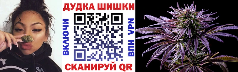 Бошки Шишки ГИДРОПОН  Старица 
